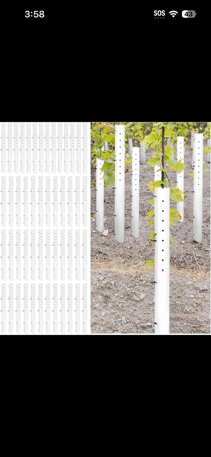 20 Pack 36 Inch Tree Seedling Sapling Grow Tube Standard Vented Seedling Protect