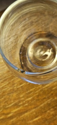 Photos de l'objet d'un acheteur vérifié