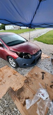 Foto dell'oggetto di un acquirente verificato