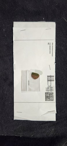 Item photo(s) from verified buyer