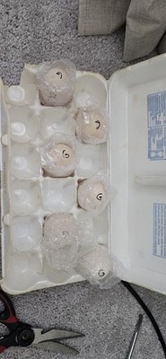 Artikelfoto(s) von einem verifizierten Käufer