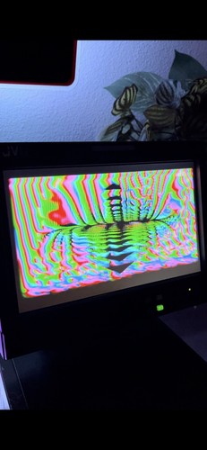 Artikelfoto(s) von einem verifizierten Käufer