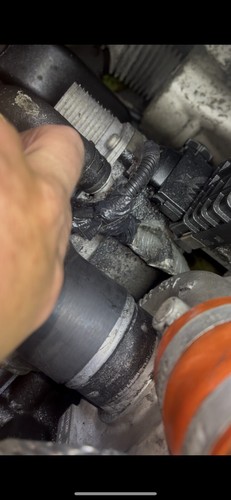 Fotos del artículo de un comprador verificado