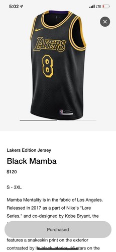 Nike Kids Los Angeles Lakers Kobe Bryant Black Mamba City Edition