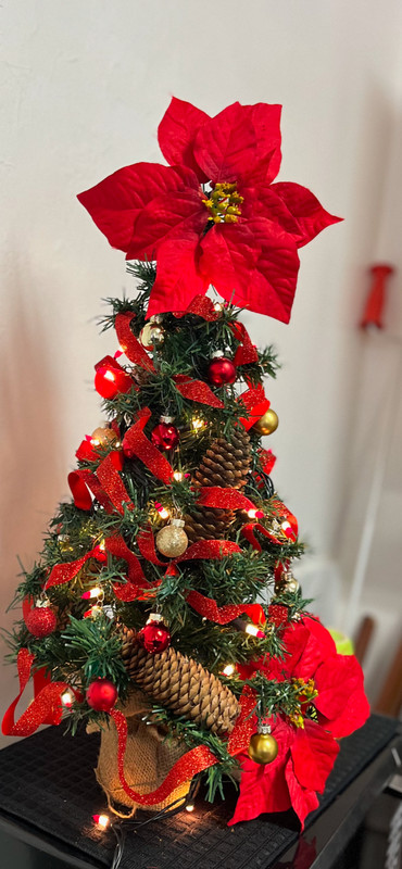 PINE CONE PINE CONES NATURAL CHRISTMAS DECORATION TREE WREATH TABLE