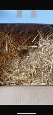 Foto dell'oggetto di un acquirente verificato