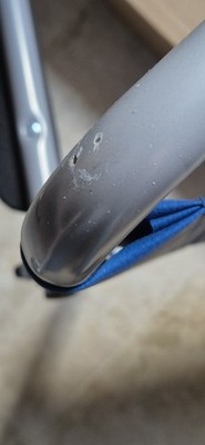 Foto dell'oggetto di un acquirente verificato