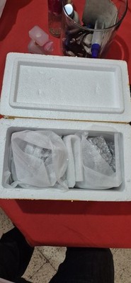 Fotos del artículo de un comprador verificado