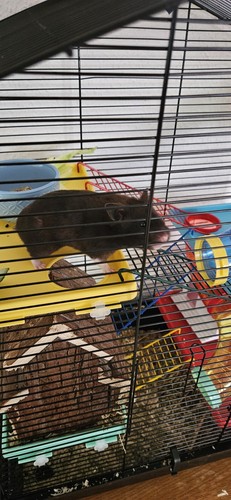 Artikelfoto(s) von einem verifizierten Käufer