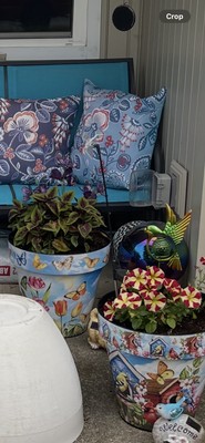 Fotos del artículo de un comprador verificado