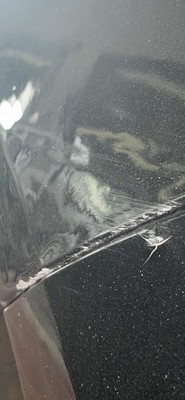 image 13 of exterior