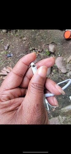 Fotos del artículo de un comprador verificado