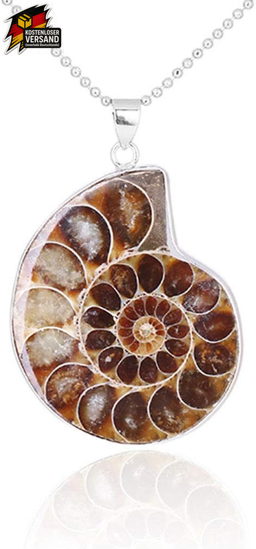 Ammonit Fossil Anhänger Silberschmuck mit Silberdraht umwickelt Halskette Damen günstig