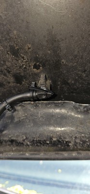 Foto dell'oggetto di un acquirente verificato