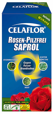 250 ml Rosen-Pilzfrei Saprol Sternrusstau+Mehltau+ Rost Fungizid Pilzbekämpfung