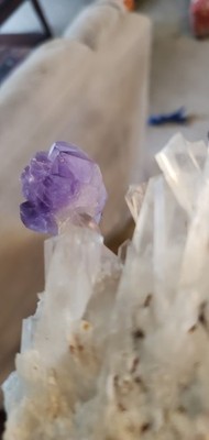 經驗證買家提供的物品圖片