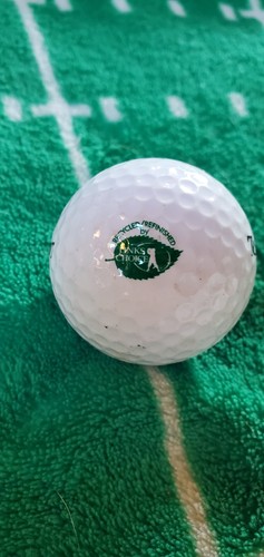 Used Top Flite Recycled/Refinished By Links Choice #1 Used