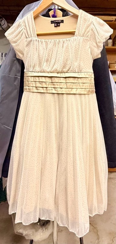 My Michelle Girls Cream Sparkle Tulle Dress with Gold Sash Size 12