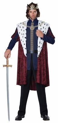 Disney Prince Royal Storybook King Adult Costume