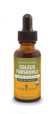 Herb Pharm Coleus Forskohlii 1 унция Жидкость