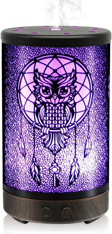 Oil Diffuser with Owl Design and LED color changed for Home or Office Use