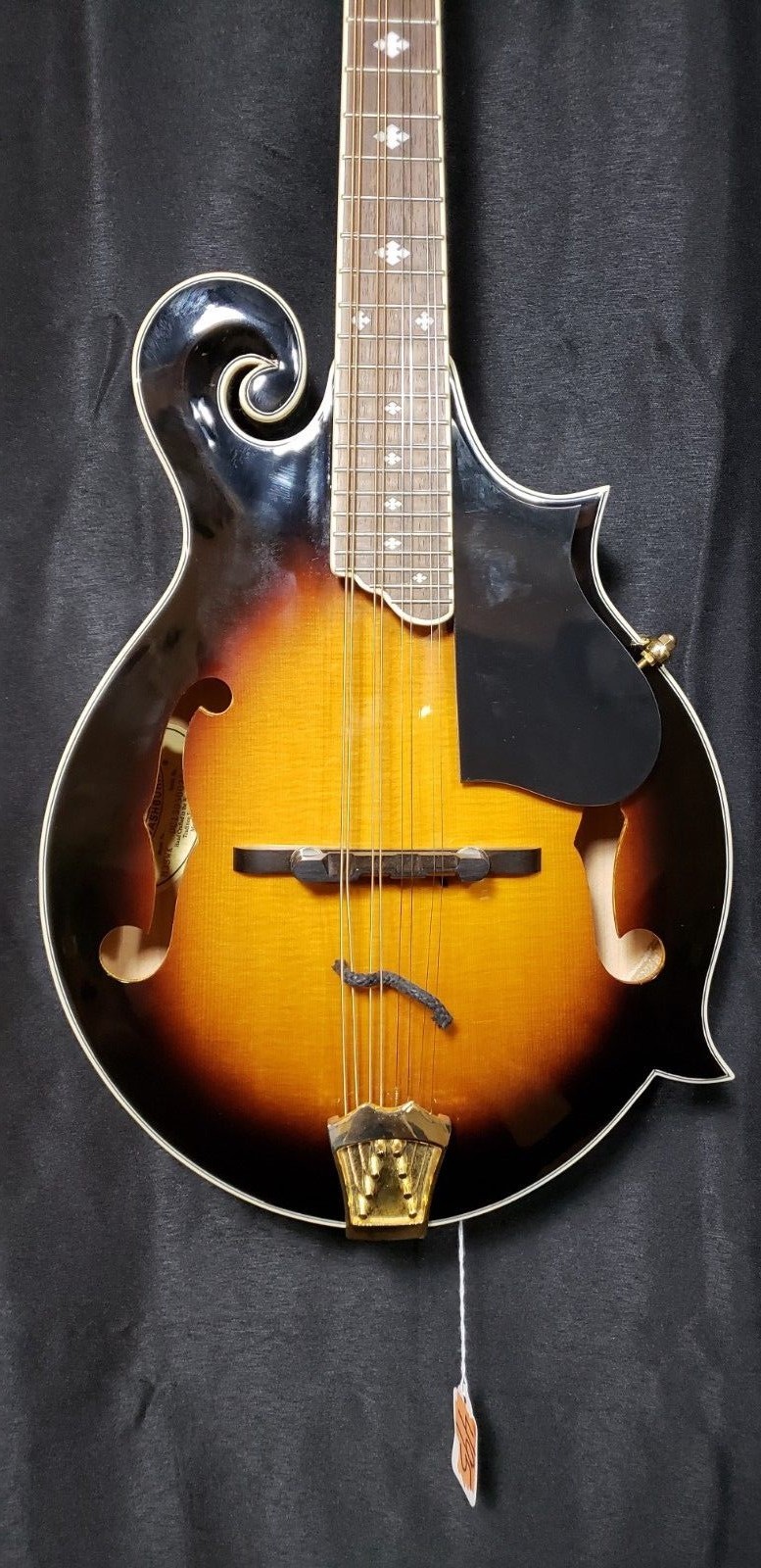 Washburn M3SWK  Mandolin