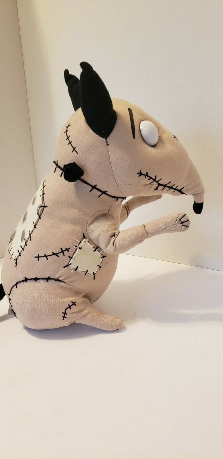Tim Burton's Frankenweenie  
