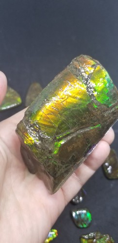Ammolite Display Piece