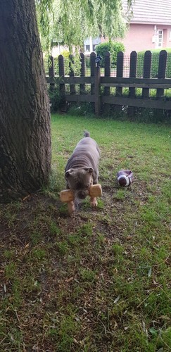 Artikelfoto(s) von einem verifizierten Käufer