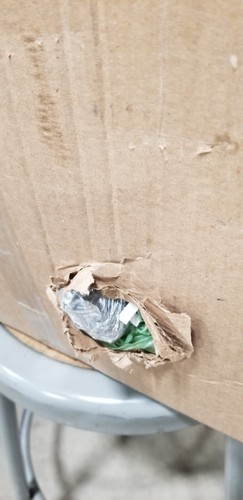 Artikelfoto(s) von einem verifizierten Käufer
