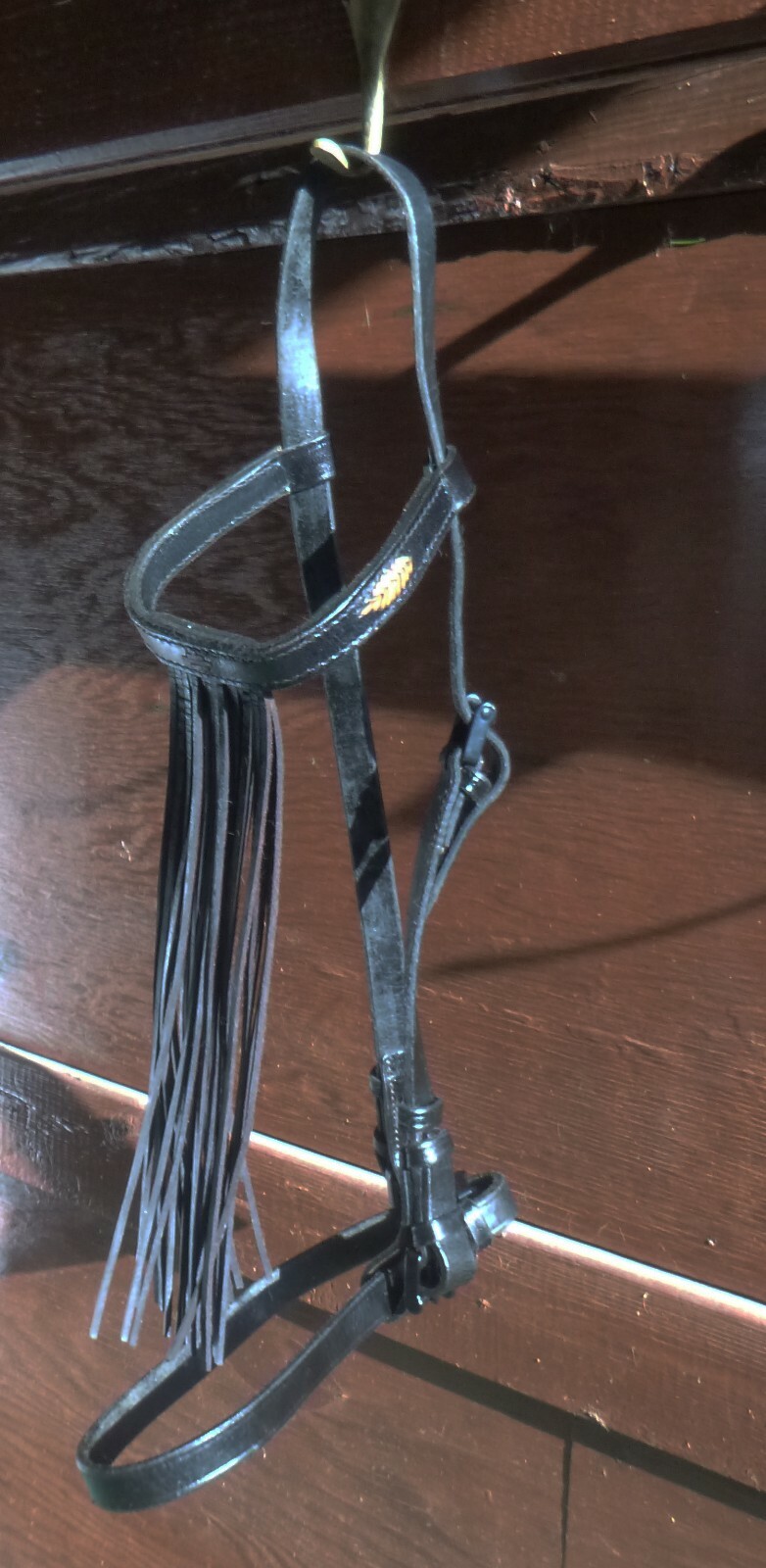 Vaquero bridle