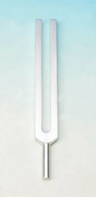 Eisco Labs Economy Aluminum Tuning Forks for Physics, 320Hz (+/- 5%)