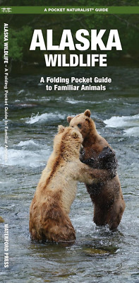 Alaska Wildlife: a Folding Pocket Guide to Familiar Species (A Pocket Naturalist