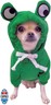 ChezAbbey Dog Hoodies Pet Frog Clothes Outfit Cat Warm Winter Sweater Coat Pullover Clothing Doggie Hooded Sweatshirts Puppy Apparel Cold Weather Costume for Chihuahua Small Medium Dogs XL