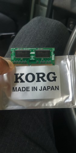 Korg M3 専用 EXB-M256 サンプルメモリー増設用 256MB SAMPLE MEMORY EXPANSION for PA2X PA3X M3 | eBay