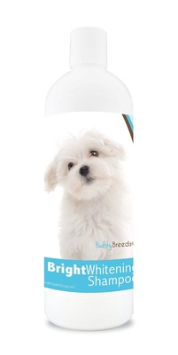 Maltese Bright Whitening Shampoo 12 oz, Pina Colada