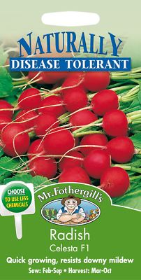 500 Seeds Pictorial Packet Radish Prinz Rotin Mr Fothergills Vegetable