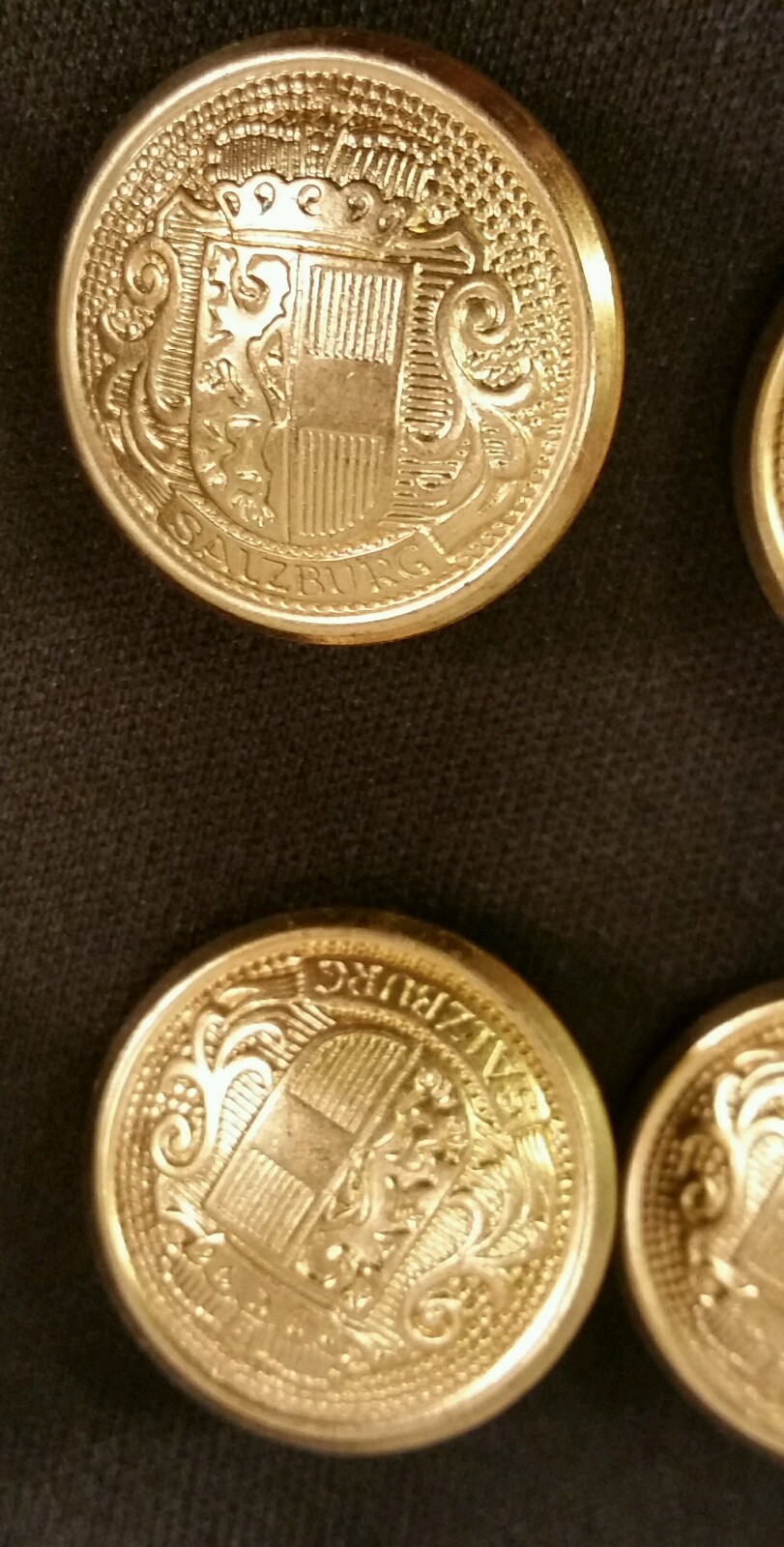 Waterbury Metal Buttons Lot of 10 Salzburg Heraldic Crest Gold Color 81290 NEW