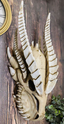 Large Dragon Fossil Skull Statue 14.5''L Archaeology Dragon Skeleton Wall Decor