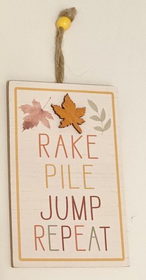 ONE Decorative Garage Or House Plaque  Rake Pile Jump Repeat  Humor New No Box