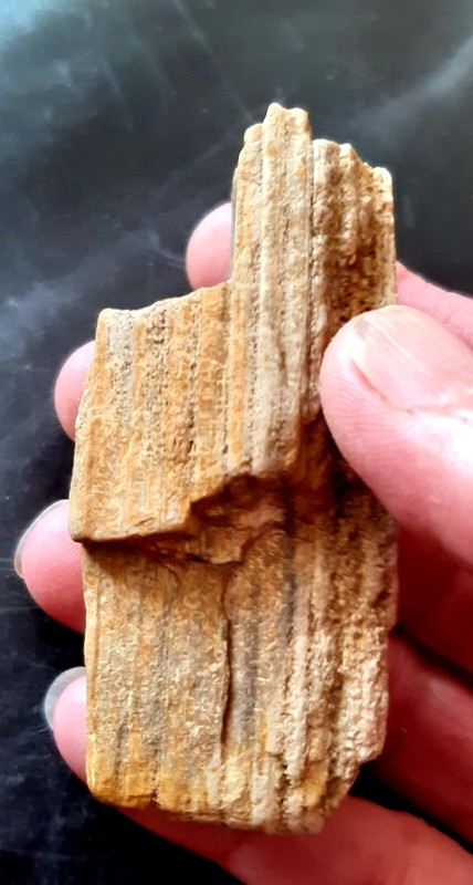 MinÃ©Raux De Collection Fossile Bois FossilisÃ© France Oise 9cmx3cmx4cm 103 Gr