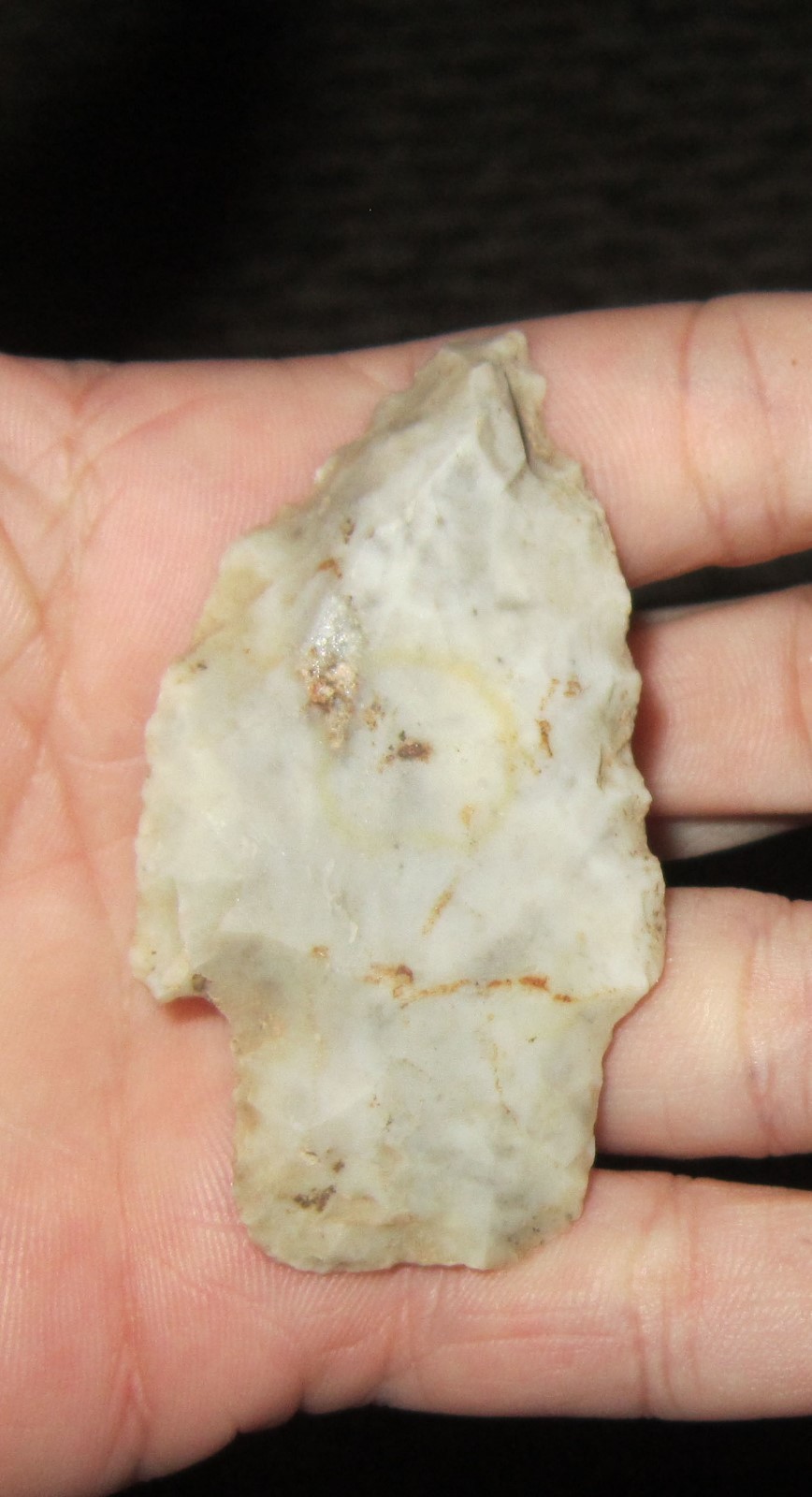 AUTHENTIC ILLINOIS 2 7/16