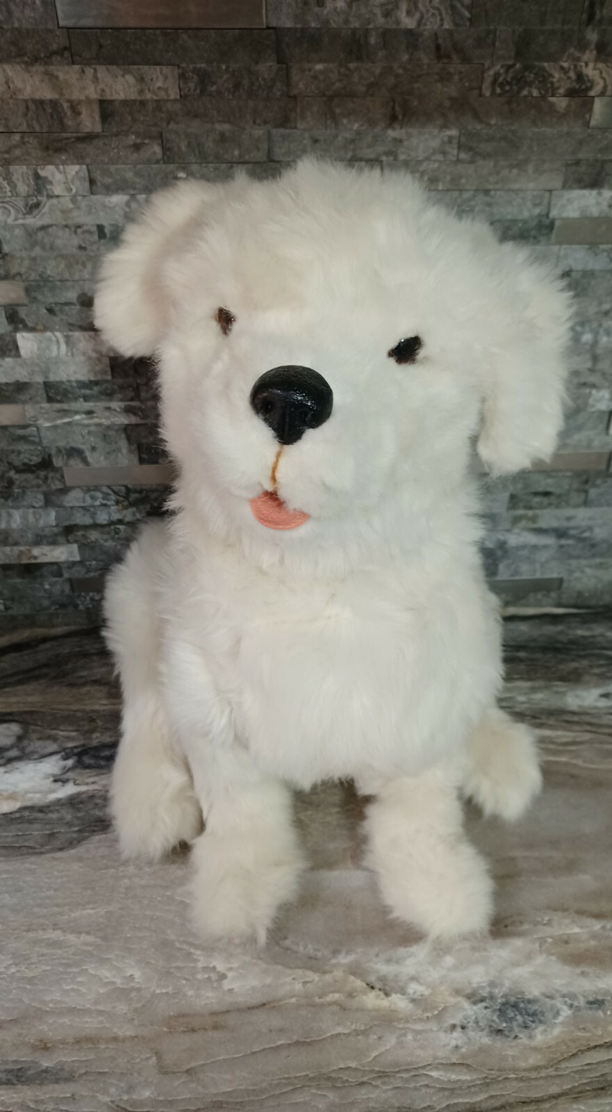 Cookie my cheap playful pup