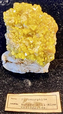 Bunker Hill Pyromorphite Level 9 Jersey Vein Shoshone County Idaho Green Beauty