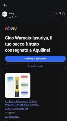 Foto dell'oggetto di un acquirente verificato