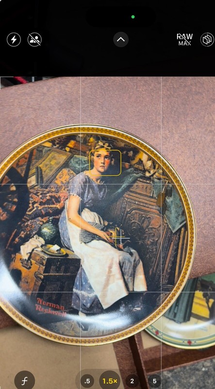 Norman Rockwell's Rediscovered Women "DREAMING IN THE ATTIC" Plate Knowles