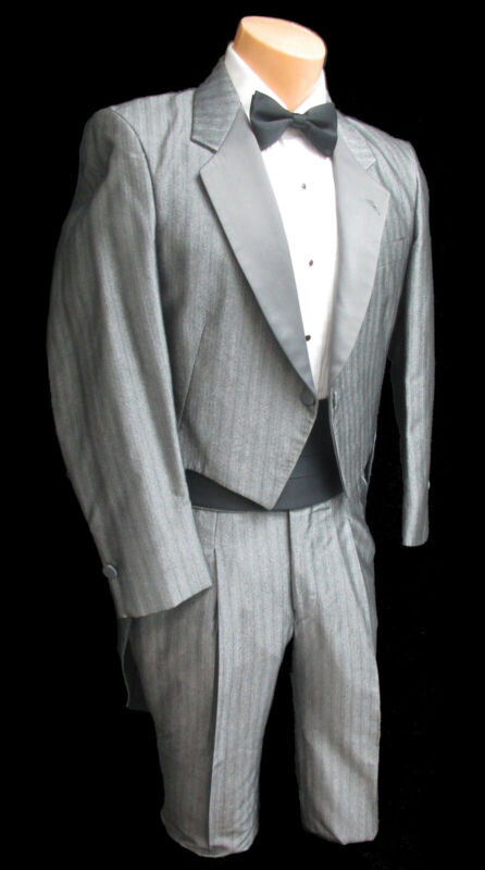 Boys Retro Vintage Raffinati Silver Grey Tuxedo Tailcoat with Pants Size 8