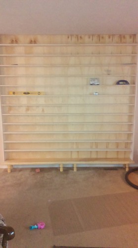 Custom Train Cabinet Only!
