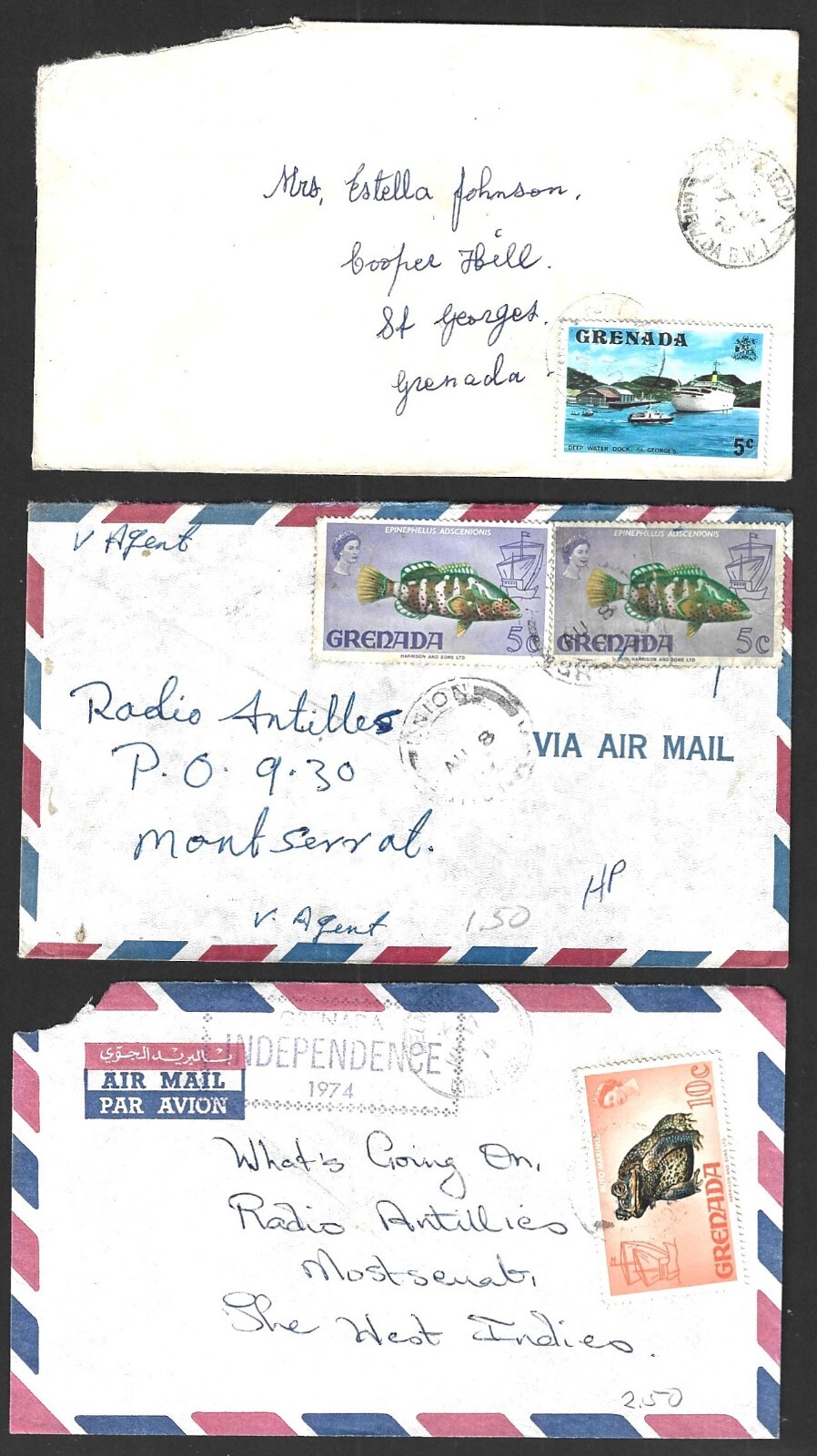 Picture 3