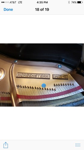 Grand Piano Morgenstern